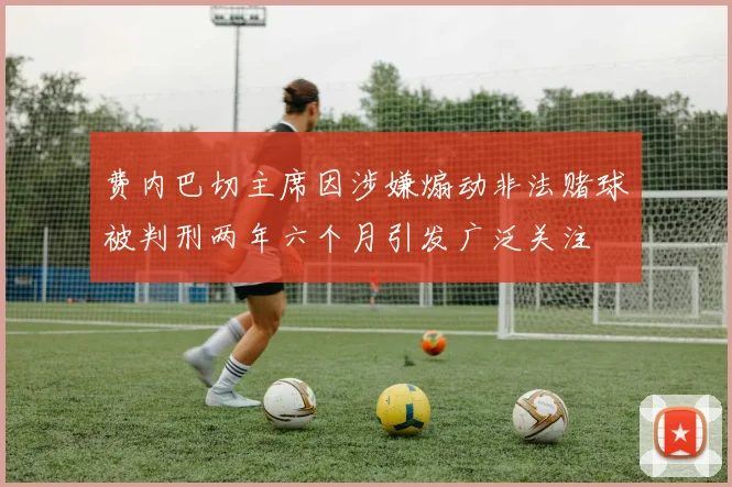 费内巴切主席因涉嫌煽动非法赌球被判刑两年六个月引发广泛关注